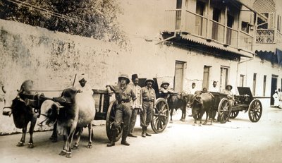 Geredde Britse kanonnen nog steeds bruikbaar, Zanzibar, 1914 door English Photographer